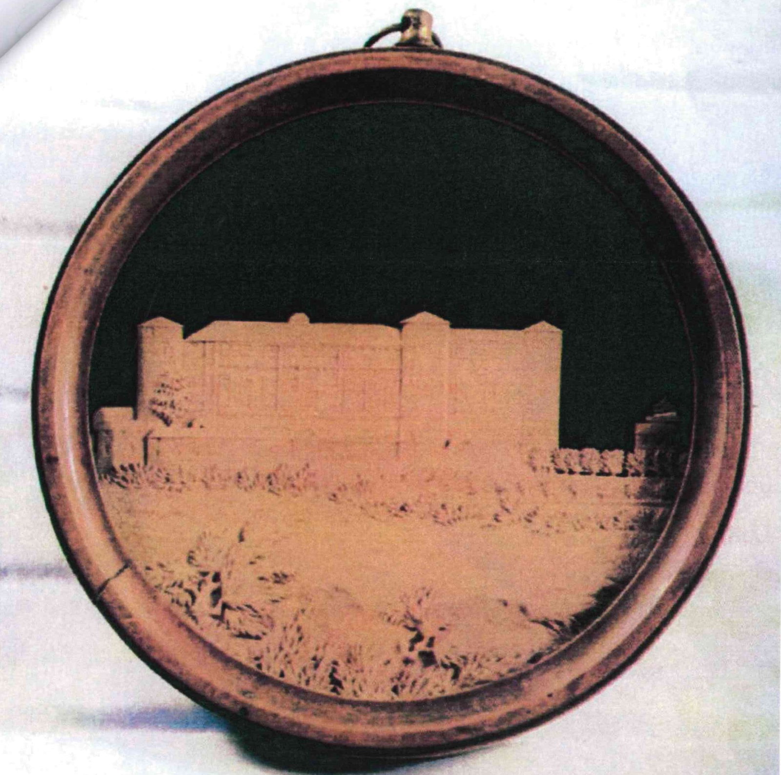 Veduta del Castello di Costigliole d'Asti